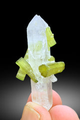 Lush Green Color Tourmaline Crystals on Quartz from Chapu Mine Skardu Pakistan - 12 gram