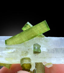 Lush Green Color Tourmaline Crystals on Quartz from Chapu Mine Skardu Pakistan - 12 gram