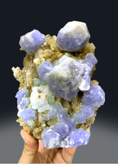 Fluorescent Rare Purple Hackmanite on Phlogopite Mica from Afghanistan - 1654 grams