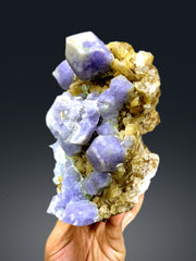 Fluorescent Rare Purple Hackmanite on Phlogopite Mica from Afghanistan - 1654 grams