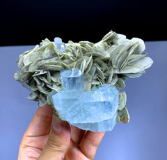 Sky Blue Aquamarine Crystals on Mica from Nagar valley District Skardu Pakistan - 508 gram
