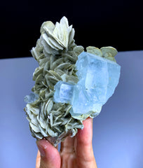 Sky Blue Aquamarine Crystals on Mica from Nagar valley District Skardu Pakistan - 508 gram