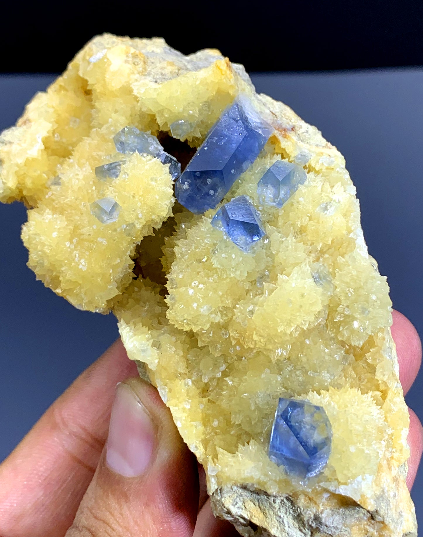 Blue Celestine Crystals on Yellow Calcite from Afghanistan - 279 gram