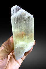 v Shape Terminated Yellow Triphane Kunzite Crystal from Afghanistan - 226 gram