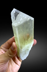 v Shape Terminated Yellow Triphane Kunzite Crystal from Afghanistan - 226 gram