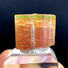 Natural Bicolor Tourmaline Crystal from Paprok Afghanistan - 64.20 carat