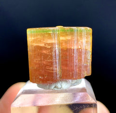 Natural Bicolor Tourmaline Crystal from Paprok Afghanistan - 64.20 carat