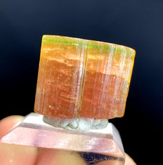 Natural Bicolor Tourmaline Crystal from Paprok Afghanistan - 64.20 carat