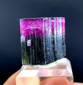 Natural Bicolor Tourmaline Crystal from Paprok Afghanistan - 79.45 carat