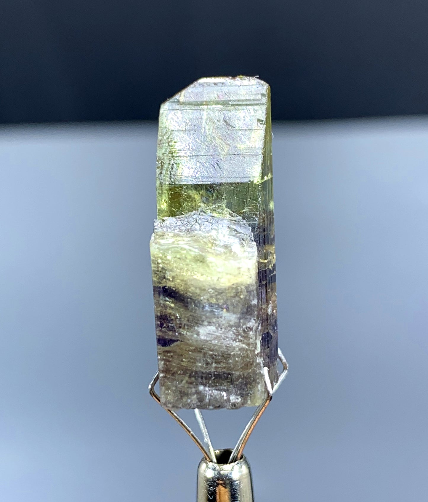 Natural Bicolor Tanzanite Crystal from Tanzania - 36.65 cts