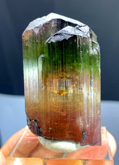 Multicolor Tourmaline Crystal from Afghanistan - 59 gram