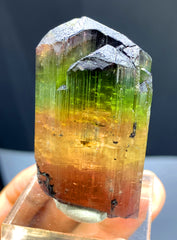 Multicolor Tourmaline Crystal from Afghanistan - 59 gram