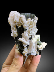 Blue Cap Tourmaline with Lepidolite from Paprok Afghanistan - 295 gram