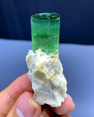 Bluish Green Tourmaline Crystal on Matrix from Afghanistan - 20 gram