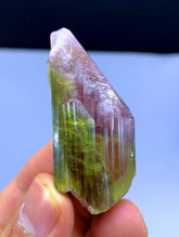 Natural Bicolor Tourmaline Crystal from Paprok Afghanistan - 133.50 carats