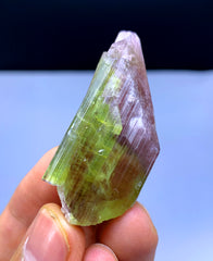 Natural Bicolor Tourmaline Crystal from Paprok Afghanistan - 133.50 carats