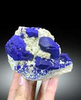 Blue Lazurite on Calcite matrix from Afghanistan, 617 gram