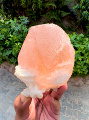 Exquisite Hot Pink Morganite on Albite from Afghanistan - 426 gram
