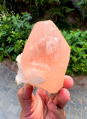 Exquisite Hot Pink Morganite on Albite from Afghanistan - 426 gram