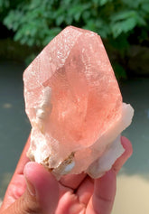Exquisite Hot Pink Morganite on Albite from Afghanistan - 426 gram