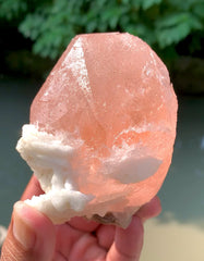Exquisite Hot Pink Morganite on Albite from Afghanistan - 426 gram
