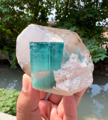 Indicolite Blue Tourmaline with Pink Apaite on Quartz from Kunar, valley Afghanistan - 364 gram