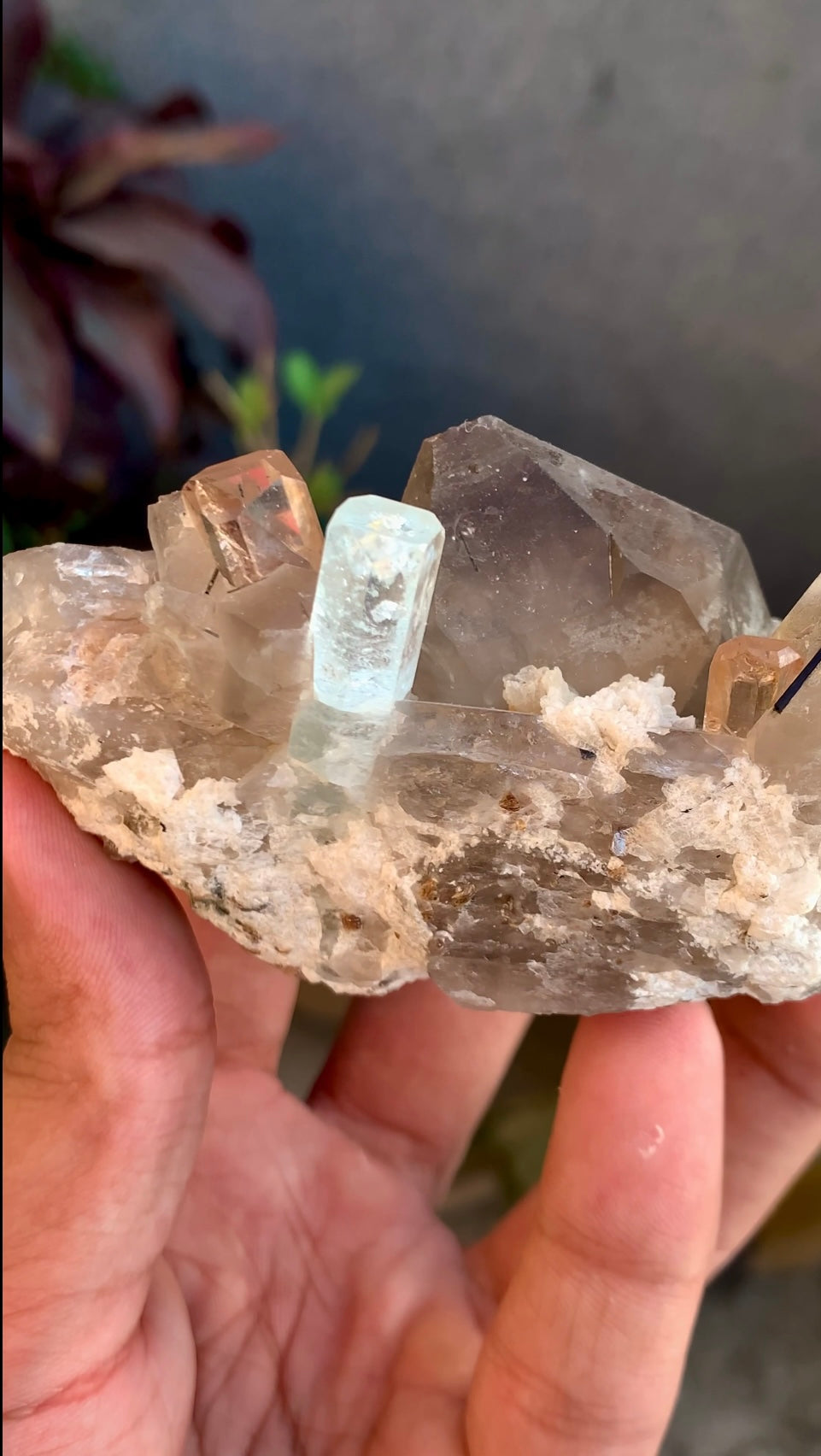 Aquamarine With Topaz Crystals on Smokey Quartz From Pakistan - 186 Grams