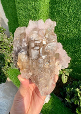 Pink Rose Quartz Strip on Lustrous Elestial Smoky Quartz from Paprok Afghanistan - 927 grams