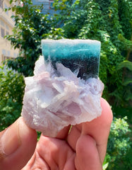 Blue Cap Tourmaline on Lepidolite from Paprok Afghanistan - 65 gram