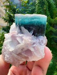 Blue Cap Tourmaline on Lepidolite from Paprok Afghanistan - 65 gram