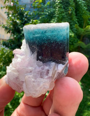 Blue Cap Tourmaline on Lepidolite from Paprok Afghanistan - 65 gram