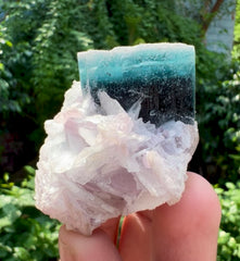 Blue Cap Tourmaline on Lepidolite from Paprok Afghanistan - 65 gram