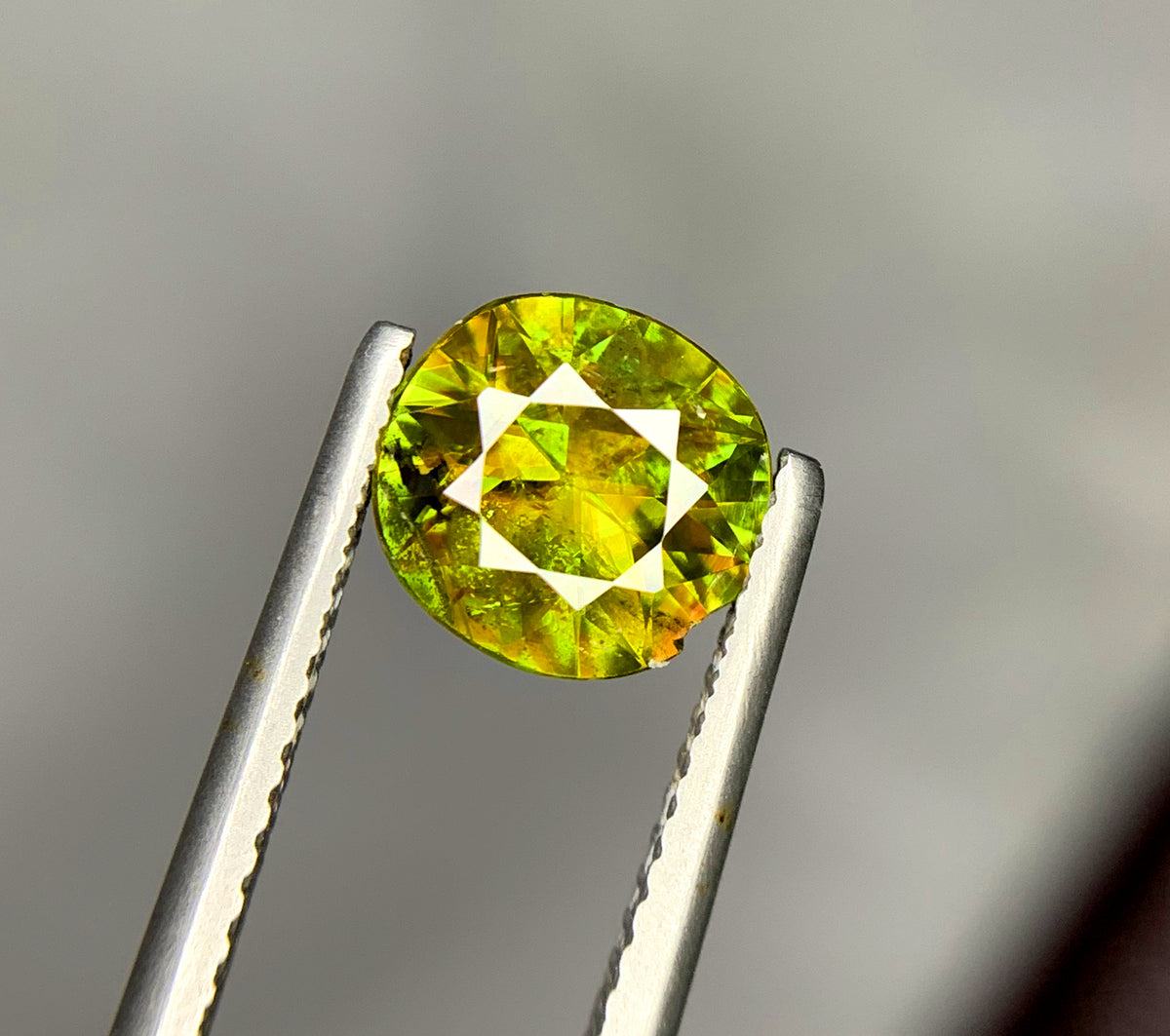 Loose titanite gemstone from Skardu in the Himalayan Range
Natural green sphene measuring 8 x 8 x 4.5 mm
Round faceting on a 1.55 ct green titanite