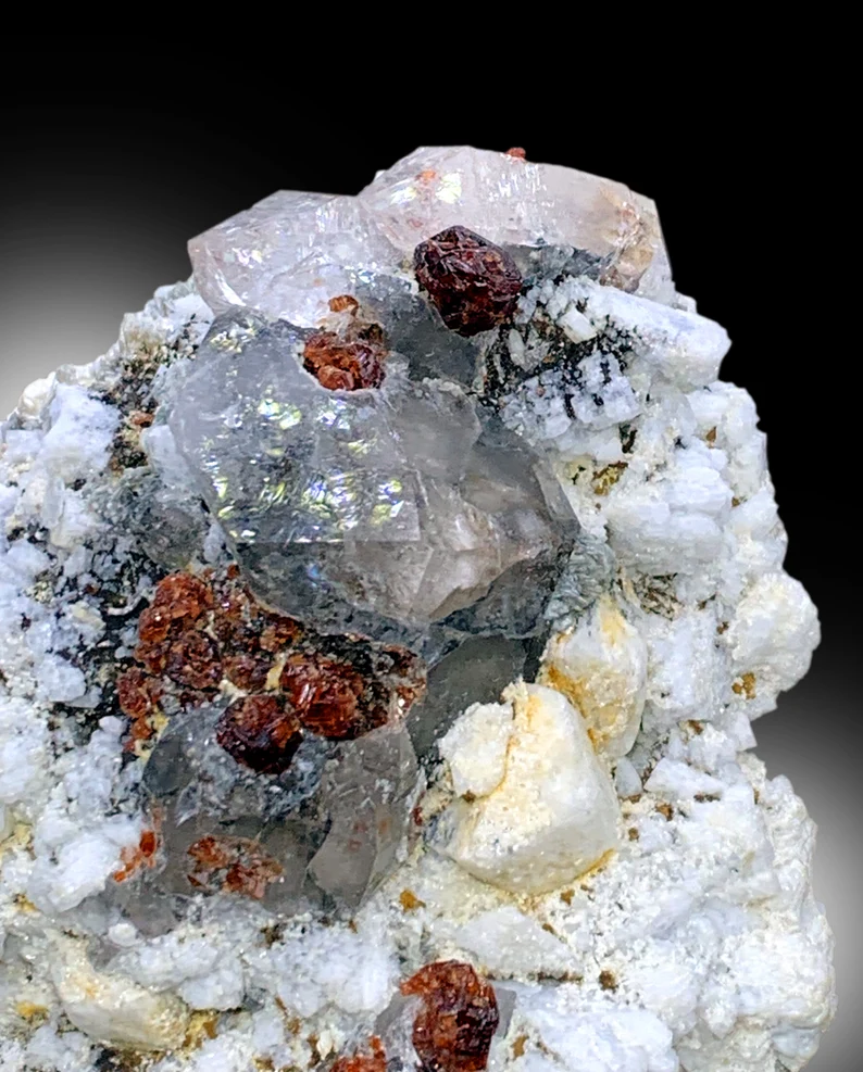 Lustrous garnet crystals on matrix, back view
Red garnet crystal specimen, collector display scale
Natural garnet with feldspar, close color detail
Self standing garnet cluster, full profile
Red garnet crystals, Pakistan origin, top view
Natural garnet specimen, display angle
Garnet cluster with quartz and feldspar, front view