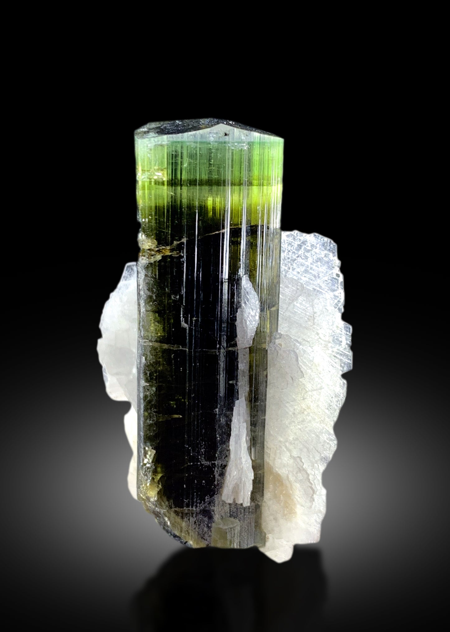 rare Pakistan tourmaline specimen
cleavelandite albite tourmaline
raw green tourmaline crystal
terminated elbaite tourmal