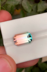 Presenting 6.70CT Exquisite Pink Blue Tourmaline, Premium Bi-Color Tourmaline