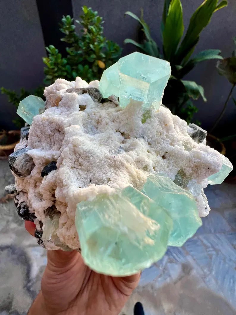 Blue Aquamarine Crystals with Mica and Albite from Pakistan - 680 Grams