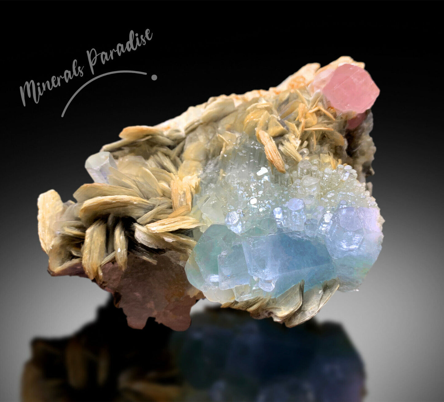 pink apatite crystal with muscovite mica
collector aquamarine mineral specimen display