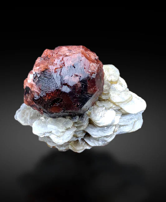 Natural red pyrope garnet crystal specimen displaying deep crimson color