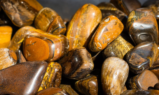 Tiger Eye Varieties: A Buyer's Guide