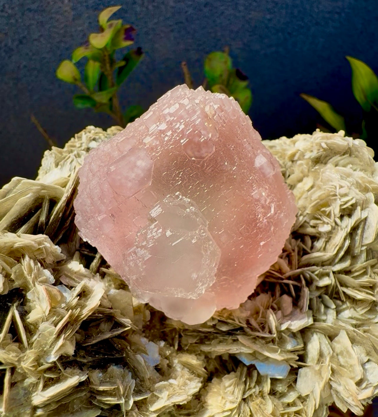 Pink Fluorite on Mica from Pakistan , 1436 gram