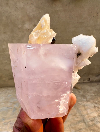 Pink Morganite crystal with Tourmalines, Mica and Feldspar from Pakistan, 365 gram