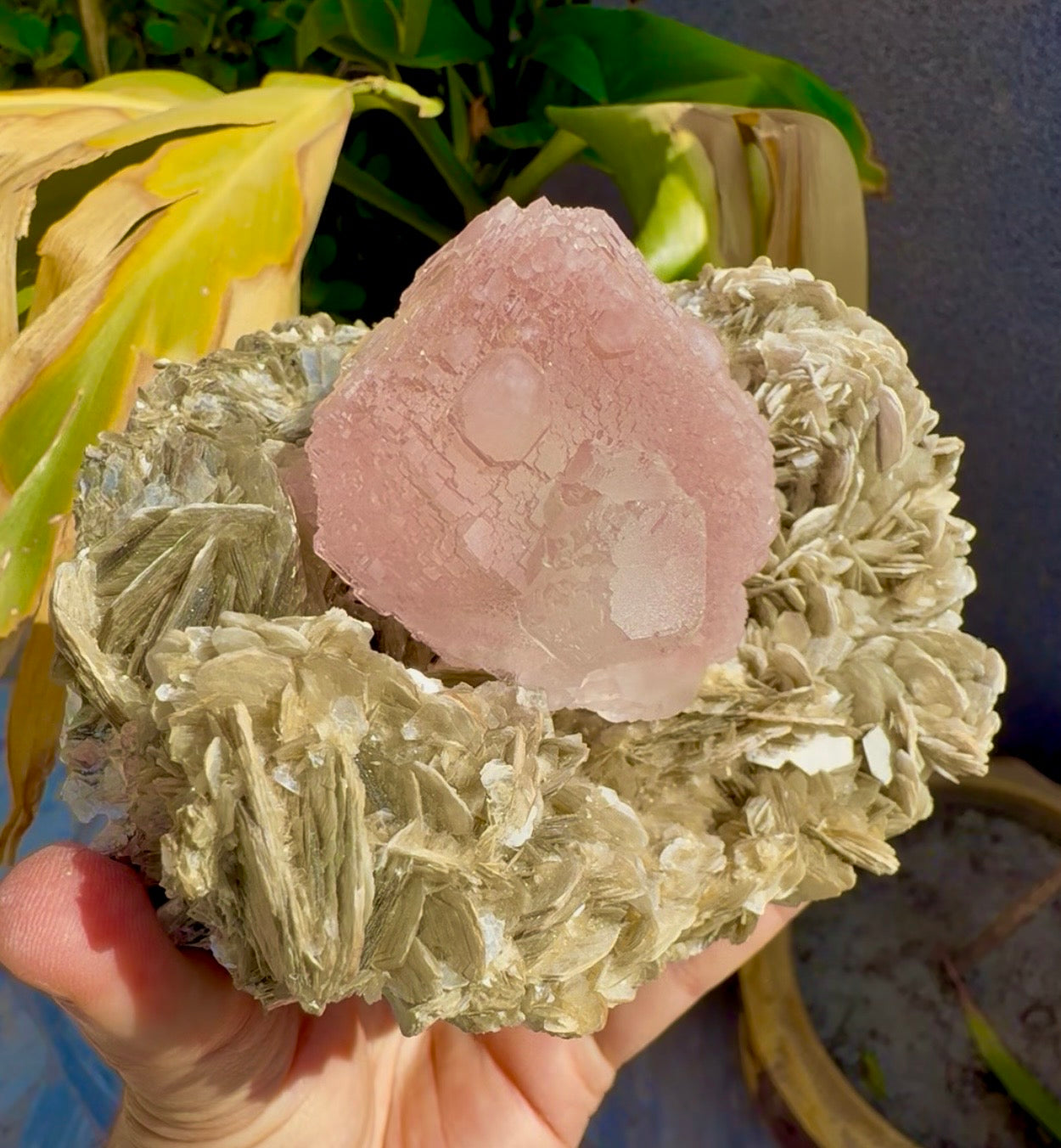 Pink Fluorite on Mica from Pakistan , 1436 gram