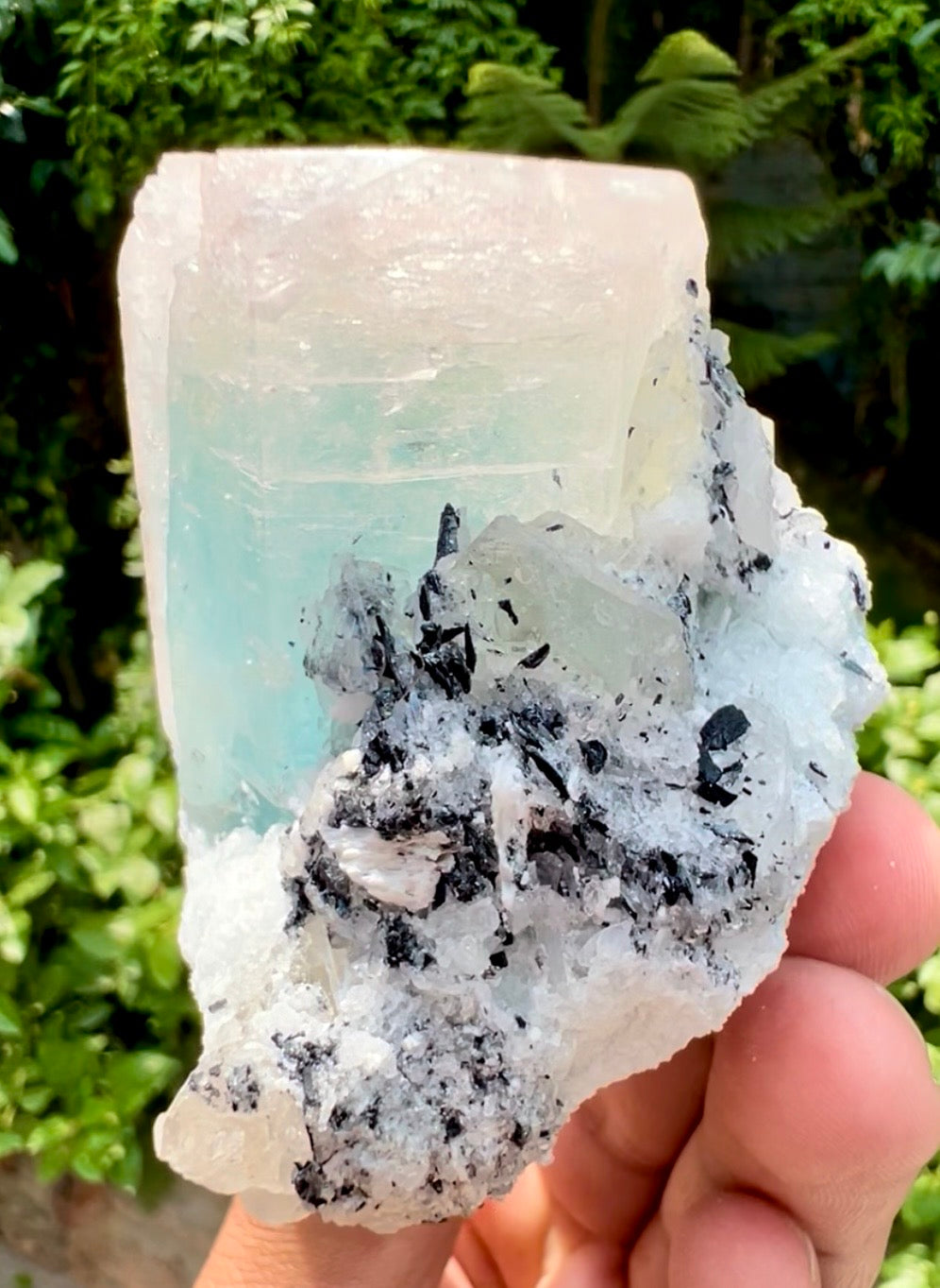AquaMorganite Beryl with Tourmalines and Quartz on Albite from Afghanistan, 322 gram