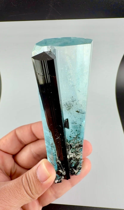 Aquamarine Crystal with Schorl from Pakistan, 160 Gram