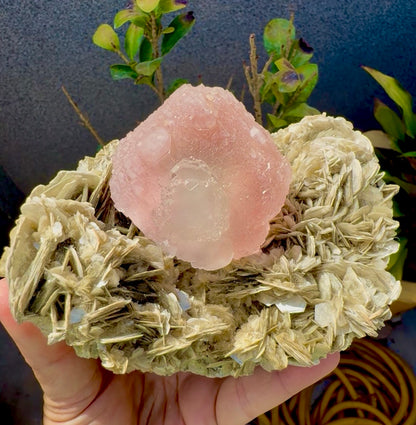 Pink Fluorite on Mica from Pakistan , 1436 gram