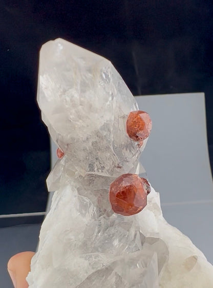 Spessartite Garnet Crystals with Quartz and Albite from Pakistan, 245 gram