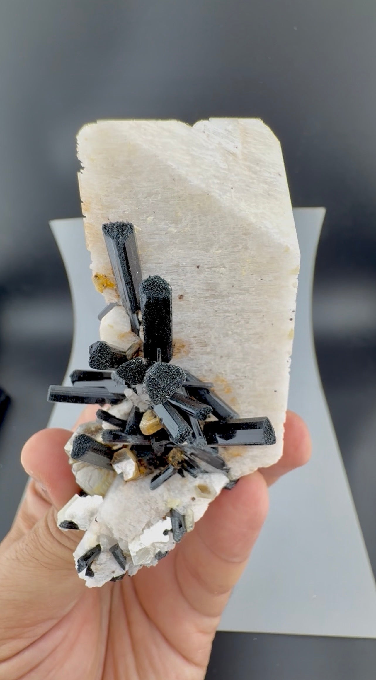 Schorl Tourmaline crystals on Microcline Feldspar from Pakistan, 186 gram