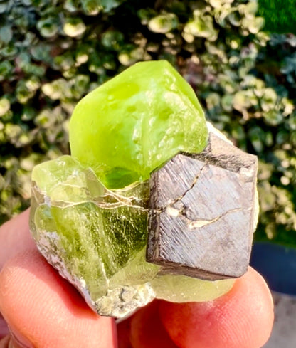 Peridot with Magnetite specimen from Pakistan, 28 gram