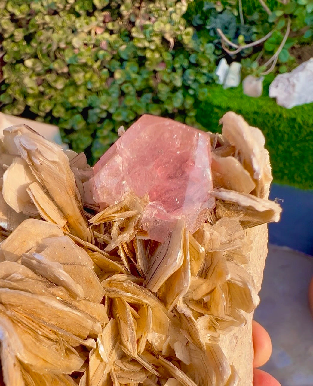 Pink Apatite with Mica from Pakistan, 713 Gram